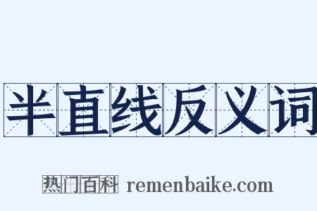 半直线反义词是什么意思的图片